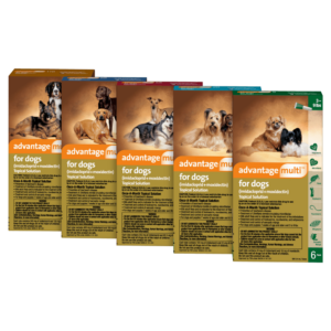 Advantage Multi® Topical Solution for Dogs | 6-IN-1 PROTECTION from heartworms, fleas, intestinal parasites & sarcoptic mange