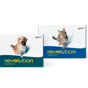 Revolution® Topical Solution for Dogs | Fleas, ticks, ear mites, heartworm, and sarcoptic mites
