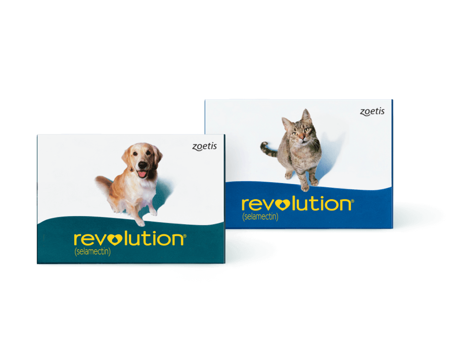 Revolution® Topical Solution for Cats | Fights fleas, flea eggs, heartworm disease, ear mites, roundworms and hookworms in cats