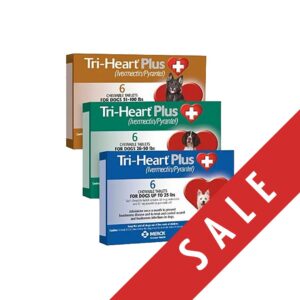 Tri-Heart® Plus Chewable Tablets for Dogs | Kills heartworm larvae