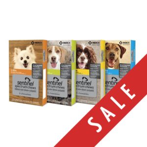 Sentinel® Spectrum® Chews | 6 in 1 Protection: fleas, heartworm, hookworm, roundworm, whipworm, and tapeworm