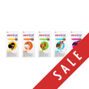 Bravecto® Chews for Dogs | Flea & tick protection