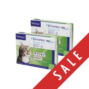EFFIPRO® PLUS Topical Solution for Cats | Fleas, ticks, mosquitoes and chewing lice