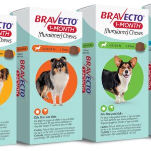 Bravecto® 1-Month Chews for Dogs | Puppy protection against fleas & ticks