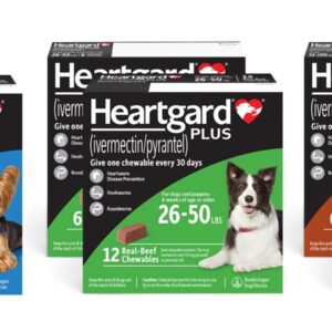 HEARTGARD® Plus Dog Chews | Heartworm and intestinal worm prevention