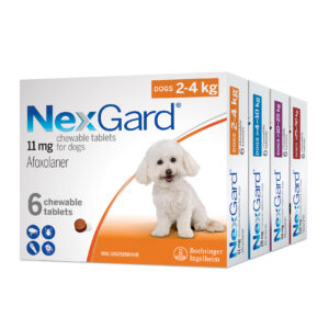 NexGard® Chewables for Dogs | Fleas, ticks, heartworm, roundworms, and hookworms