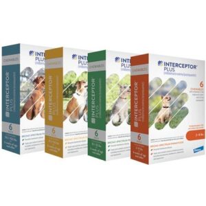 Interceptor® Plus Chewable Tablets for Dogs | Heartworm, adult hookworm, roundworm, tapeworm and whipworm
